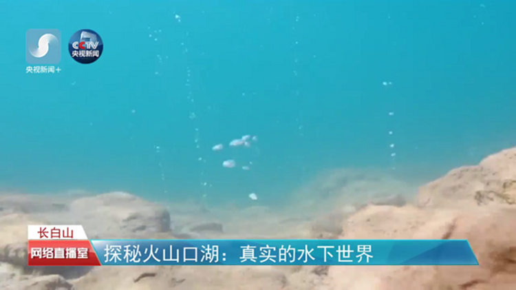 说明:http://news.hrbeu.edu.cn/news/UploadFiles_4906/201808/2018082112540408.png